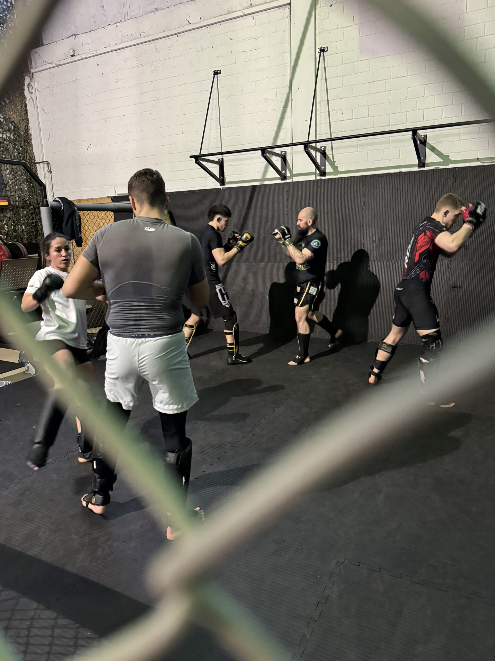 MMA Pro: Striking