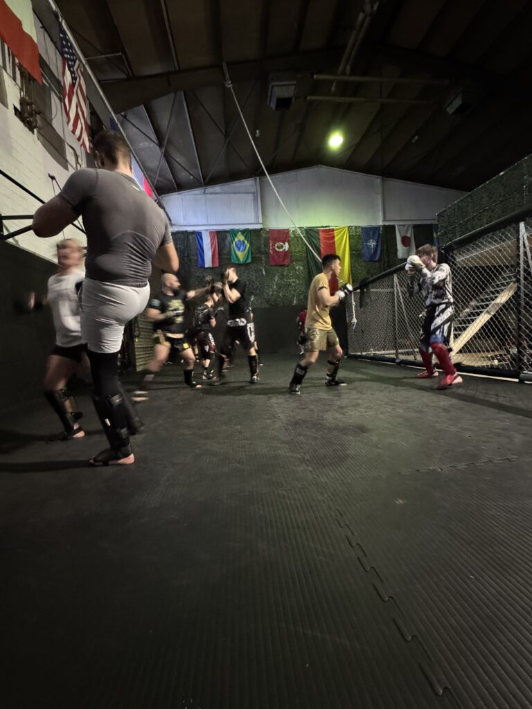 MMA Training