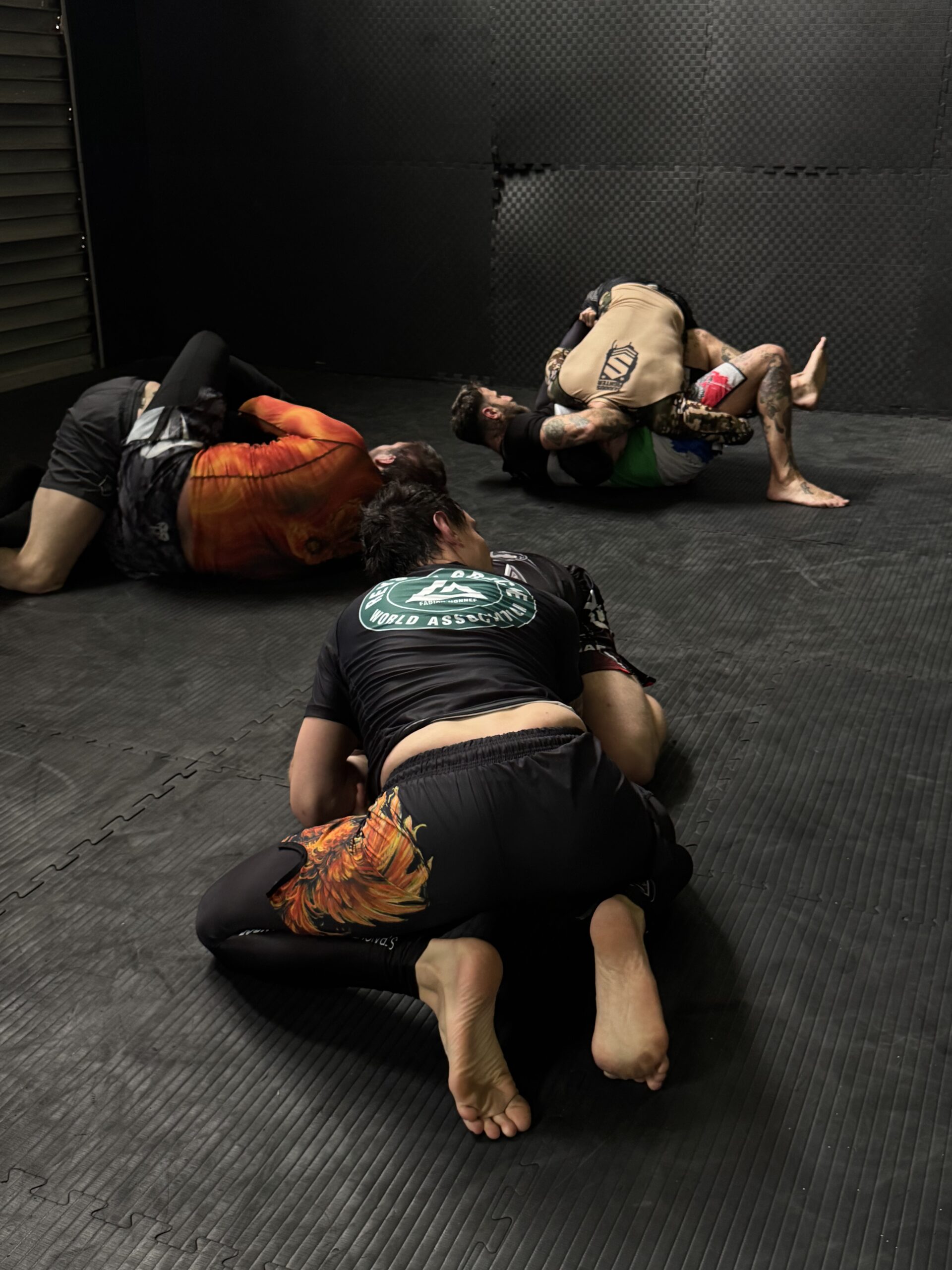 MMA Pro: Grappling 